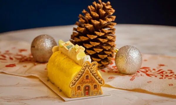 buche Vincent