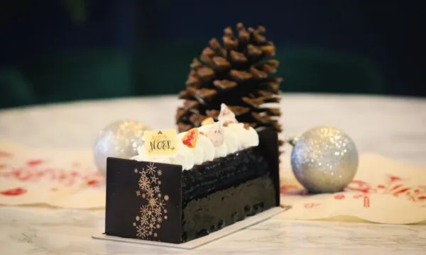 Buche Damien